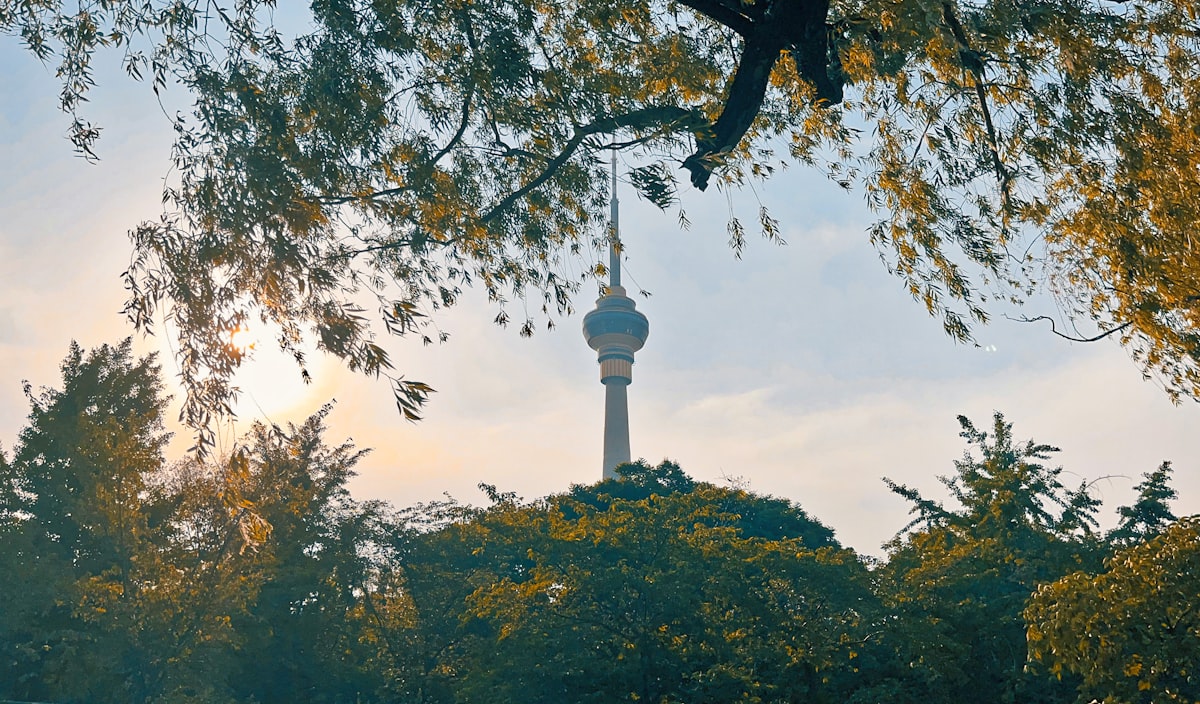 a tall tower behind trees